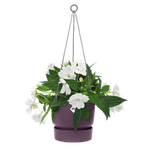 greenville hanging basket 24cm vintage circuela
